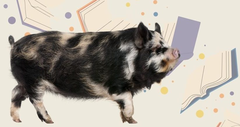 January 2026 News and Events